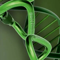 Ovalone DNA — Karabina — KONG