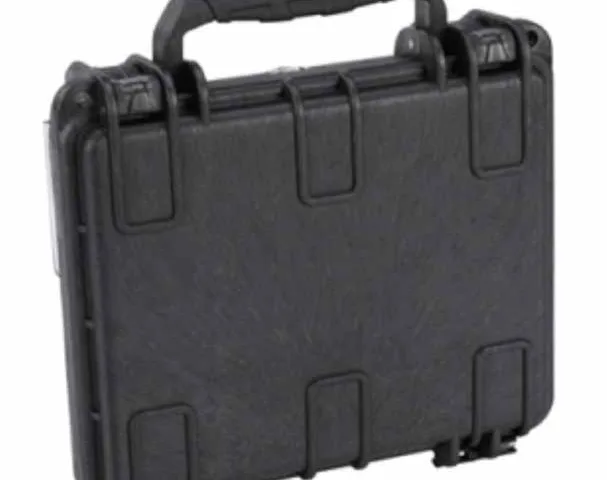 1L Case — R.A.I.D.